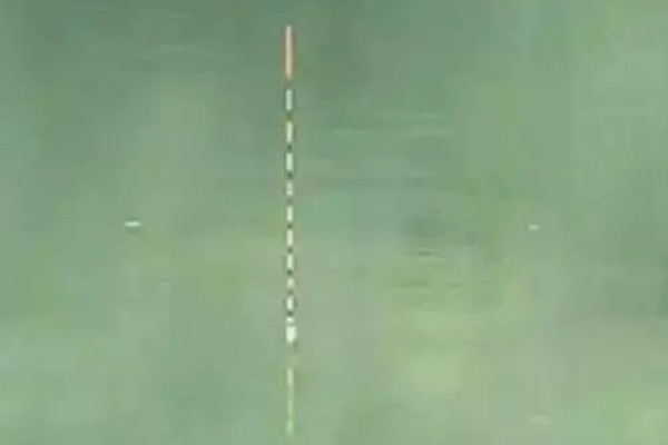 冬季黑坑钓青鱼的绝招，要选晴朗天气出钓