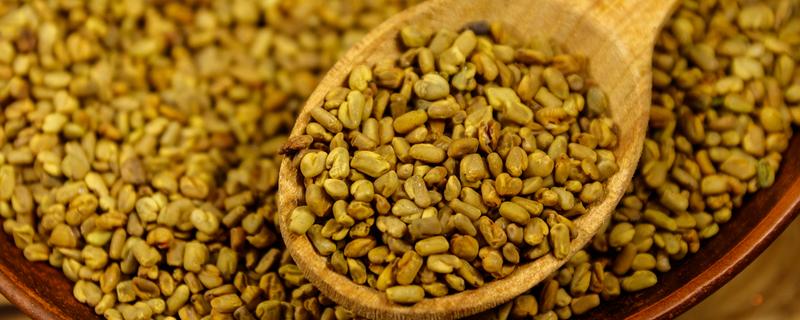 松花粉的食用方法，可直接用温开水送服