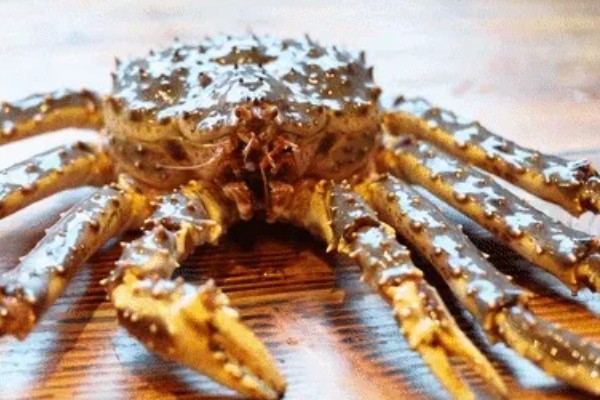 帝王蟹的挑选方法，背壳呈黑绿色有光泽代表肉质偏厚且细腻