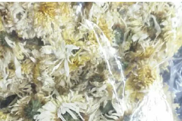 野菊花的品种，分为甘菊、毛华菊、楔叶菊等7种