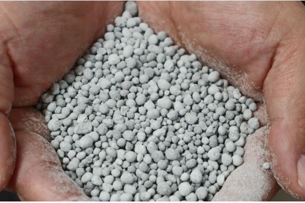 过磷酸钙适合哪些植物，广泛适用于水稻、小麦、玉米等