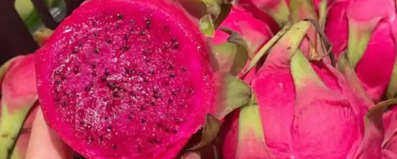 火龙果红心与白心的区别，颜色、口感、价格不同