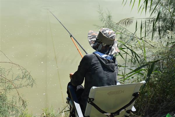 钓鱼的最佳时段，温度处于15-30℃时垂钓为佳