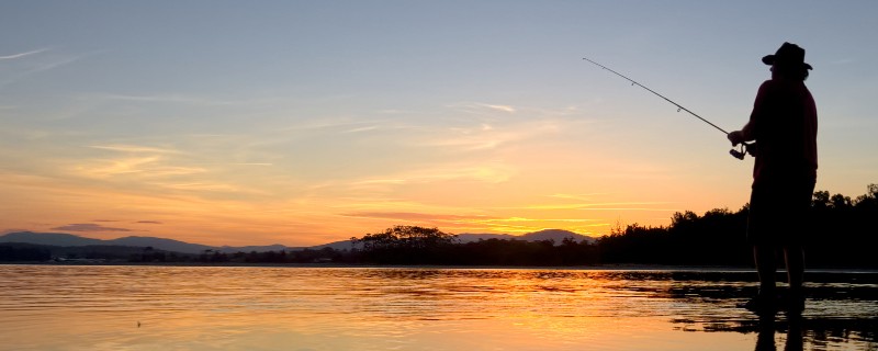 罗非鱼什么温度开口，要尽量选择20℃以上的天气
