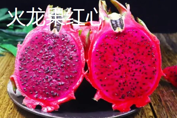 火龙果红心与白心的区别，颜色、口感、价格不同