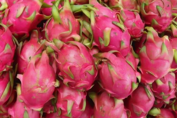 火龙果红心与白心的区别，颜色、口感、价格不同