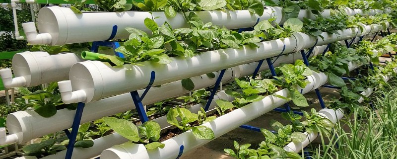 如何自制立体种植架，材料包含PVC管、胶水等