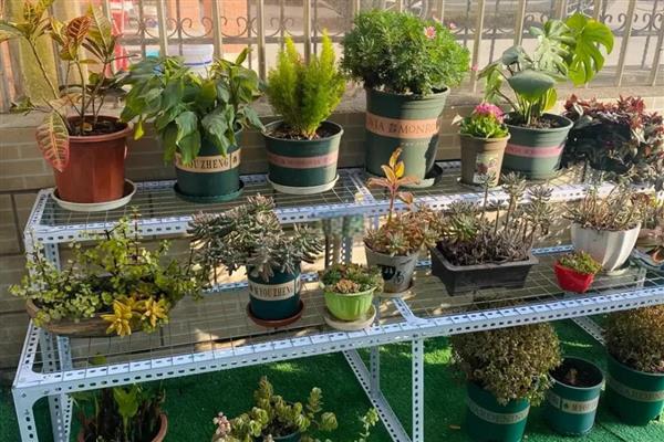 如何自制立体种植架，材料包含PVC管、胶水等