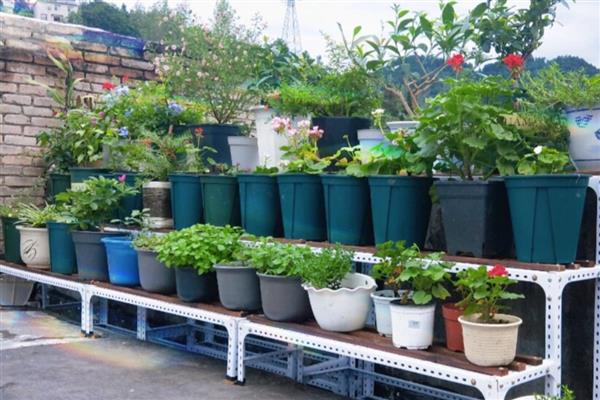 如何自制立体种植架，材料包含PVC管、胶水等