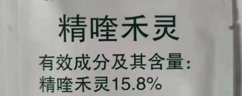 精喹禾灵除草几天见效，大概七天就可以见效