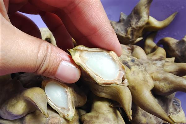 菱角如何剥壳，将两角剪掉再沿着凹面剪开