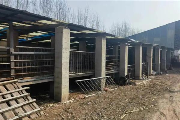 羊舍如何建造，需要使用竹条制作顶棚