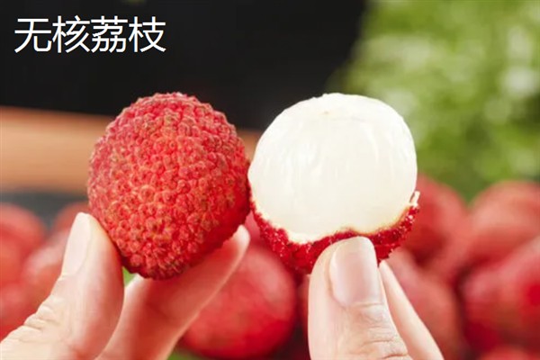 玉荷包荔枝是大核品种吗，是大核品种
