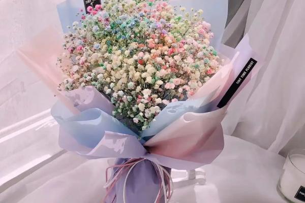 满天星的花语，寓意纯洁浪漫、友情、思念等