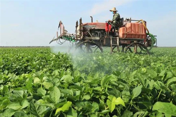 大豆有哪些病虫害，常见的有豆天蛾、造桥虫等