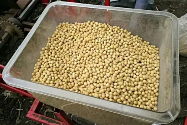 大豆有哪些病虫害，常见的有豆天蛾、造桥虫等