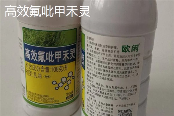 胡萝卜苗后除草剂选择哪种，适合喷施精喹禾灵、高效氟吡甲禾灵