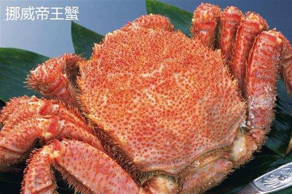 帝王蟹的品种，有阿拉斯加帝王蟹、挪威帝王蟹等