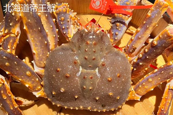 帝王蟹的品种，有阿拉斯加帝王蟹、挪威帝王蟹等