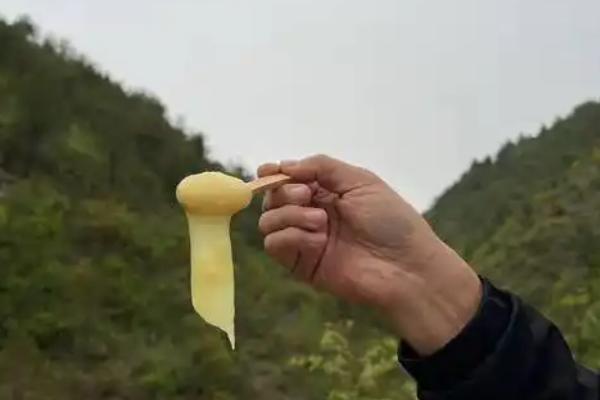 蜂王浆怎么生产，按照以下工序逐一进行