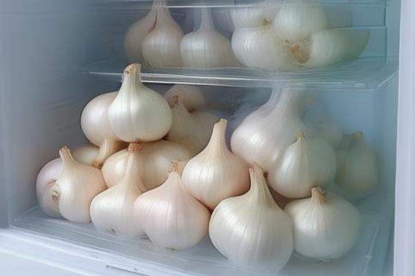 冬季怎么存放大蒜，悬挂保存或密封保存