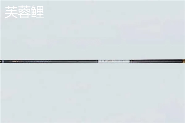 黑坑终结者鱼竿的简介，属于黑坑竿分为6H、8H等硬度类型