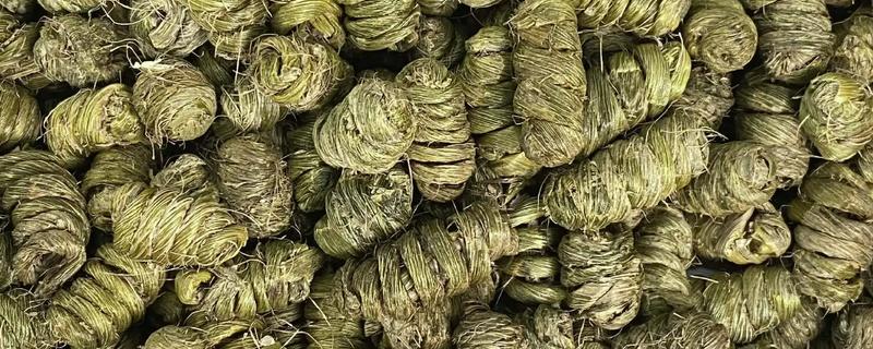 铁皮石斛和紫皮石斛的区别，颜色和生长环境均不同