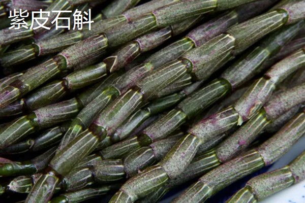 铁皮石斛和紫皮石斛的区别，颜色和生长环境均不同