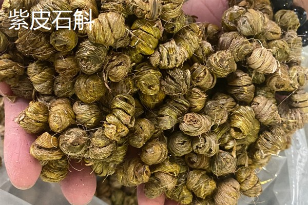 铁皮石斛和紫皮石斛的区别，颜色和生长环境均不同