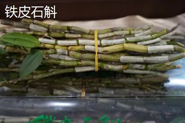 铁皮石斛和紫皮石斛的区别，颜色和生长环境均不同