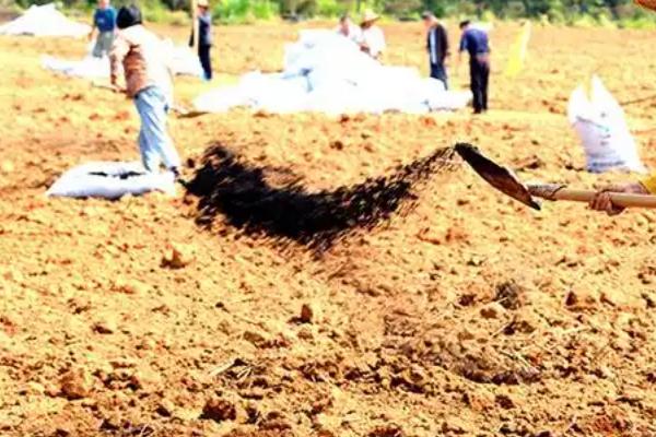 肥土的鉴别方式，具有土层疏松、颜色深、不易淀浆等特点