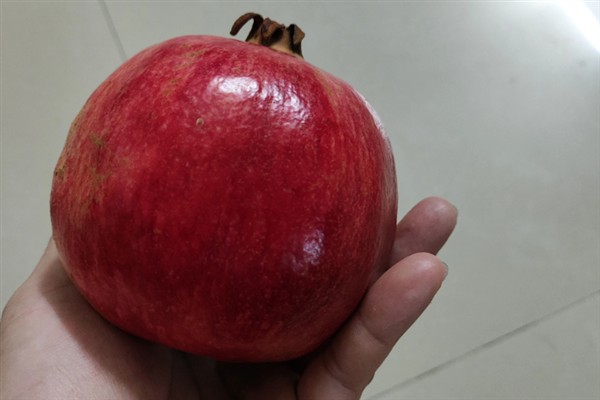 石榴什么时候适合采摘，外皮变成红黄色便可食用