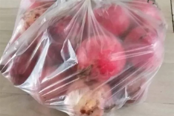 石榴什么时候适合采摘，外皮变成红黄色便可食用