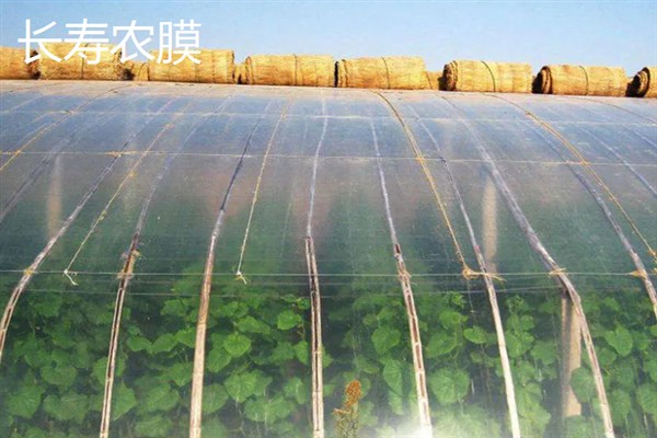 农膜是什么，又称薄膜塑料
