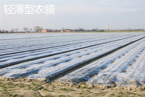 农膜是什么，又称薄膜塑料