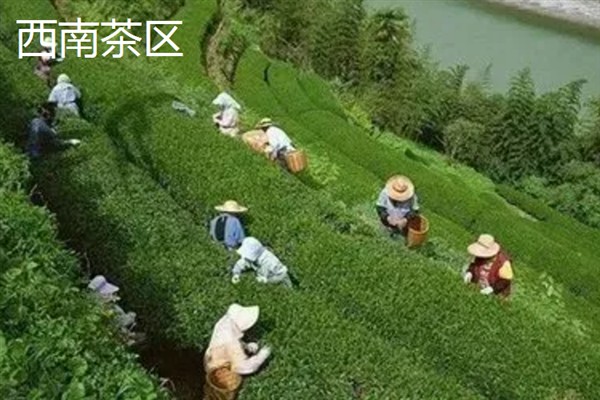 中国的茶叶的产地，主要有西南茶区、江南茶区等