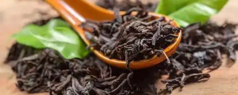 中国的茶叶的产地，主要有西南茶区、江南茶区等