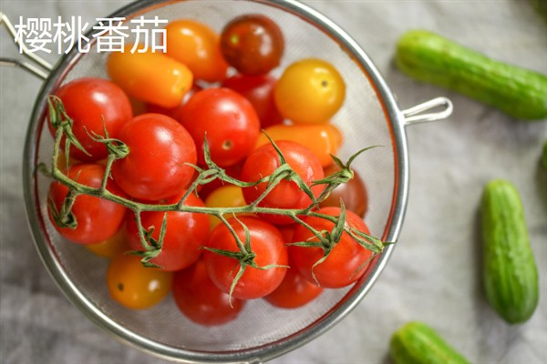 西红柿有什么品种，樱桃番茄、罗马番茄等品种很常见
