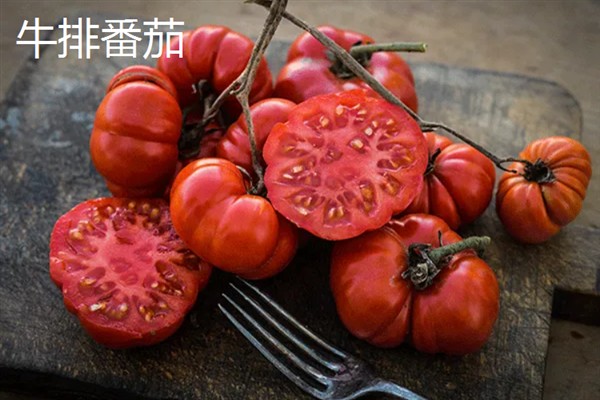 西红柿有什么品种，樱桃番茄、罗马番茄等品种很常见