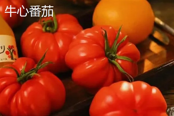 西红柿有什么品种，樱桃番茄、罗马番茄等品种很常见