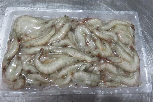 选购对虾的方法，头身紧密连接、外表有光泽的对虾比较新鲜