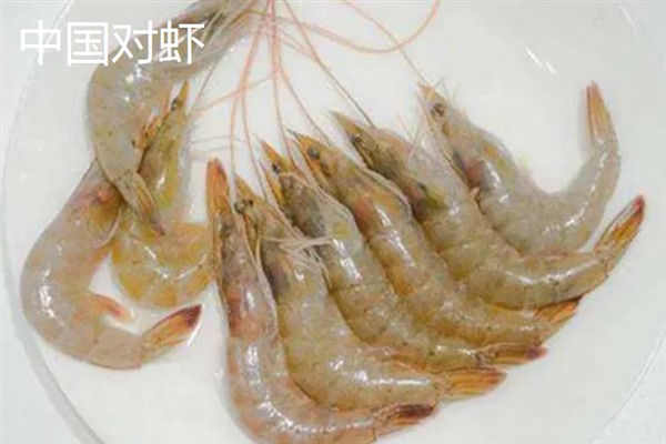 选购对虾的方法，头身紧密连接、外表有光泽的对虾比较新鲜