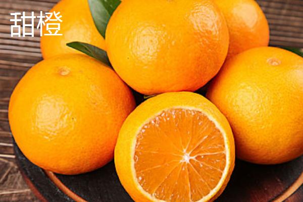 橙子的适宜种植地区，适合种在甘肃、陕西、四川等省份