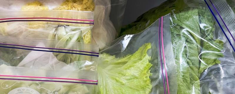 蔬菜怎么存储，洗干净用保鲜膜密封好保存在冰箱即可