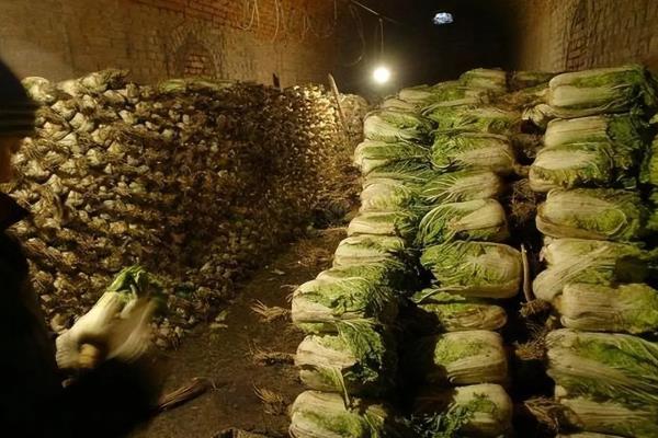 蔬菜怎么存储,洗干净用保鲜膜密封好保存在冰箱即可