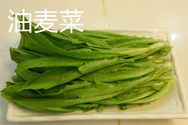 蔬菜怎么存储,洗干净用保鲜膜密封好保存在冰箱即可