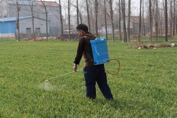 用除草剂除草对土地的影响，导致土地受到污染