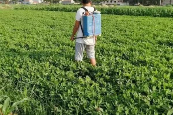 用除草剂除草对土地的影响，导致土地受到污染