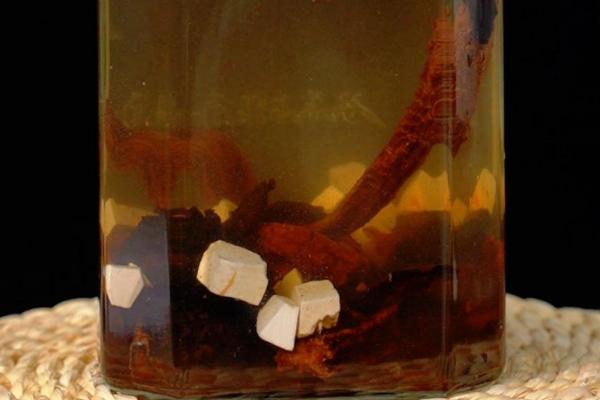 酒苁蓉能不能取代肉苁蓉，不可取代