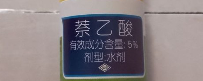奈乙酸的作用，可以促进植株生根